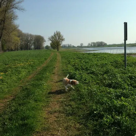 An Den Elbwiesen Gz Elbeblick Nur Nichtraucher דירה Dommitzsch