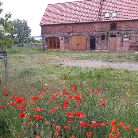 An Den Elbwiesen Gz Elbeblick Nur Nichtraucher