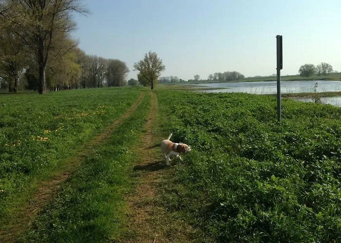 An Den Elbwiesen Gz Elbeblick Nur Nichtraucher Apartamento Dommitzsch
