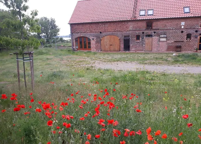 An Den Elbwiesen Gz Elbeblick Nur Nichtraucher